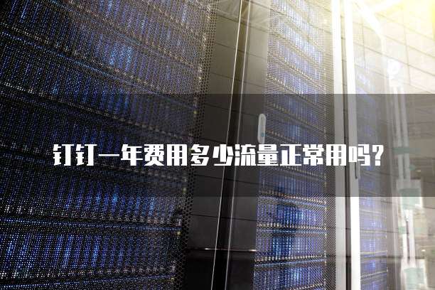 钉钉一年费用多少流量正常用吗?