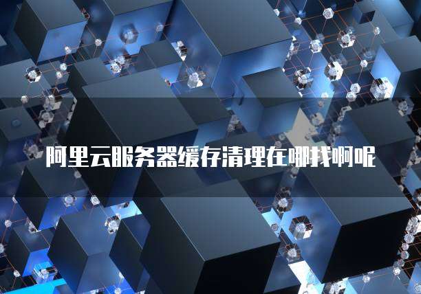 阿里云服务器缓存清理在哪找啊呢