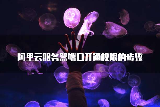 阿里云服务器端口开通权限的步骤