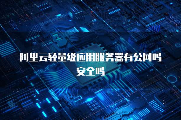 阿里云轻量级应用服务器有公网吗安全吗