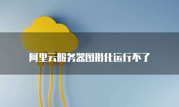 阿里云服务器图形化运行不了