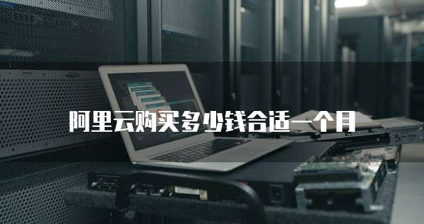 阿里云购买多少钱合适一个月