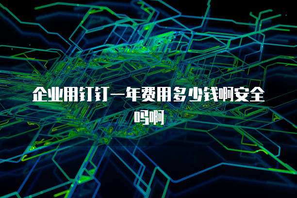 企业用钉钉一年费用多少钱啊安全吗啊