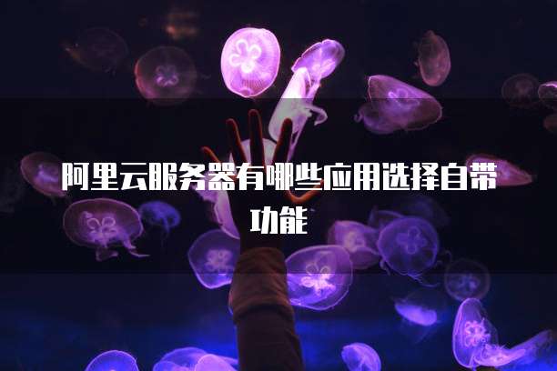 阿里云服务器有哪些应用选择自带功能