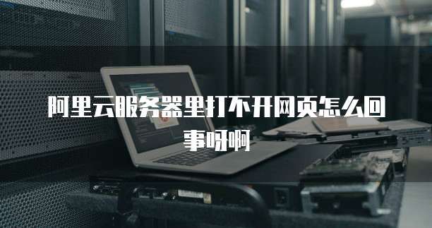 阿里云服务器里打不开网页怎么回事呀啊