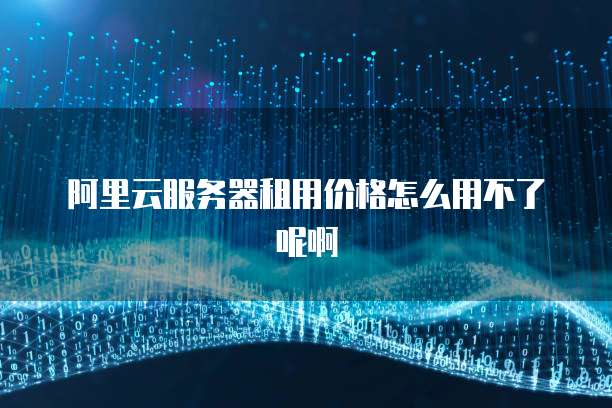 阿里云服务器租用价格怎么用不了呢啊
