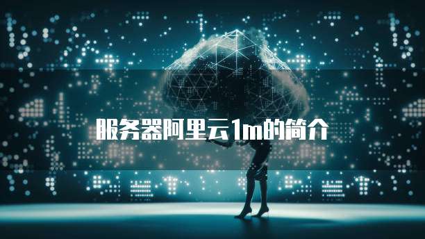 服务器阿里云1m的简介
