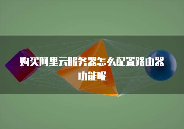 购买阿里云服务器怎么配置路由器功能呢