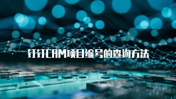 钉钉CRM项目编号的查询方法