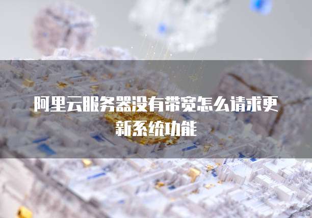 阿里云服务器没有带宽怎么请求更新系统功能