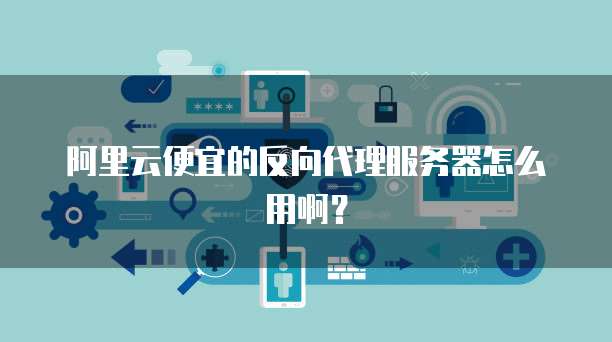 阿里云便宜的反向代理服务器怎么用啊?