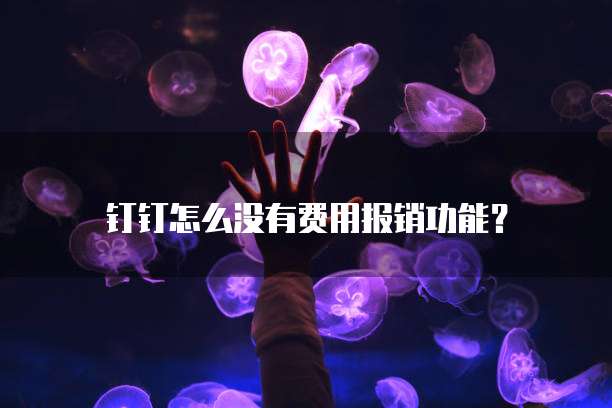 钉钉怎么没有费用报销功能？