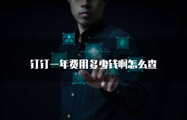 钉钉一年费用多少钱啊怎么查