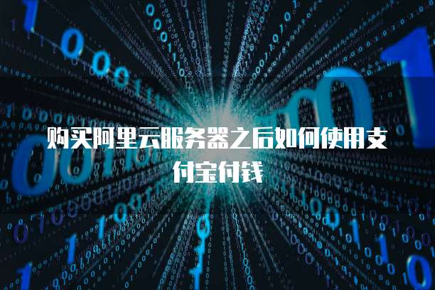 购买阿里云服务器之后如何使用支付宝付钱