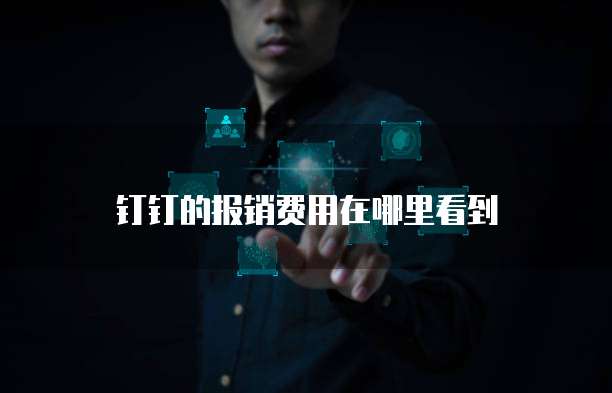 钉钉的报销费用在哪里看到