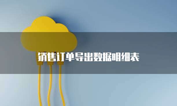销售订单导出数据明细表