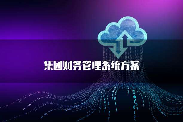 集团财务管理系统方案