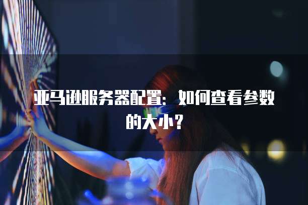 亚马逊服务器配置：如何查看参数的大小？