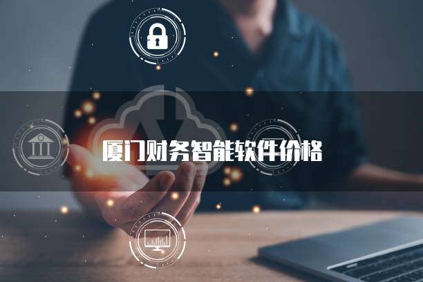 厦门财务智能软件价格