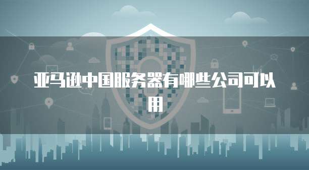 亚马逊中国服务器有哪些公司可以用