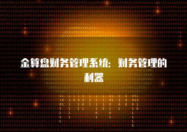 金算盘财务管理系统：财务管理的利器