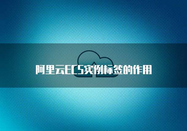阿里云ECS实例标签的作用