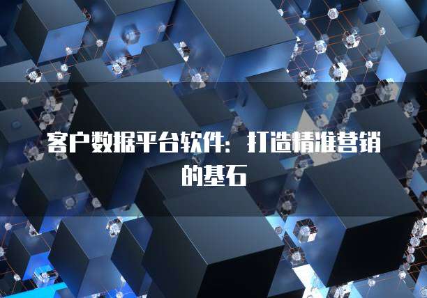 客户数据平台软件：打造精准营销的基石