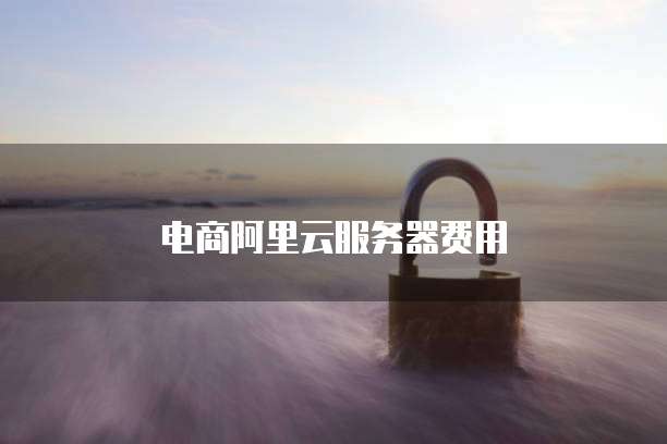 电商阿里云服务器费用