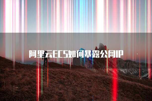 阿里云ECS如何暴露公网IP