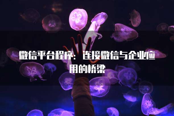 微信平台程序：连接微信与企业应用的桥梁