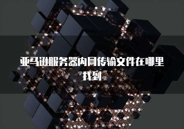 亚马逊服务器内网传输文件在哪里找到