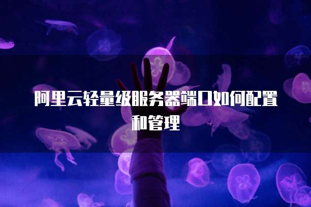 阿里云轻量级服务器端口如何配置和管理