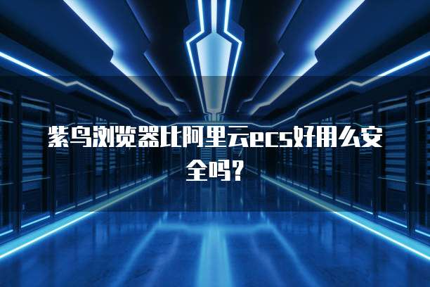 紫鸟浏览器比阿里云ecs好用么安全吗？
