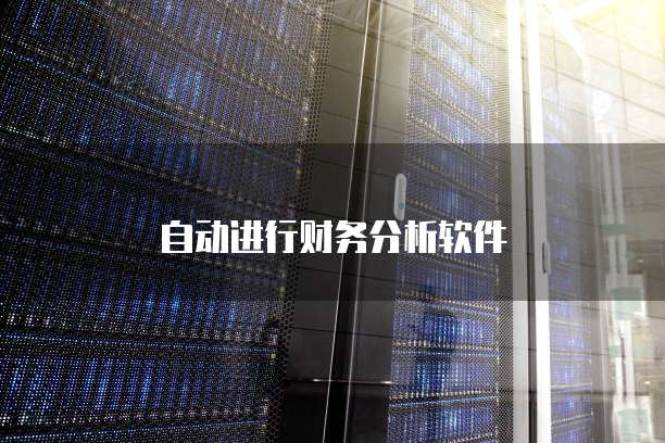 自动进行财务分析软件