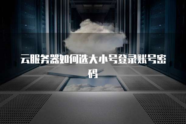 云服务器如何选大小号登录账号密码