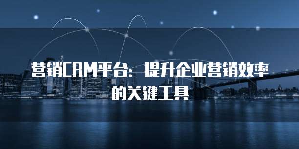 营销CRM平台：提升企业营销效率的关键工具