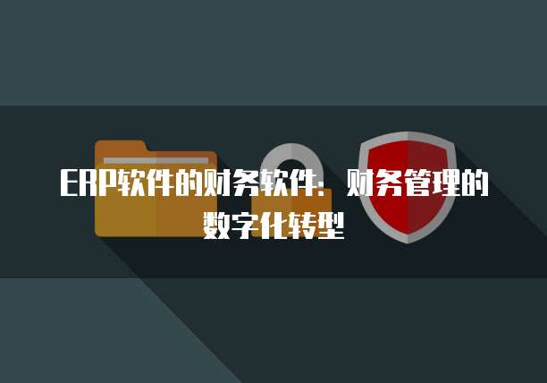 ERP软件的财务软件：财务管理的数字化转型