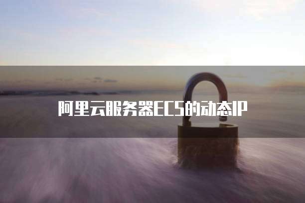 阿里云服务器ECS的动态IP