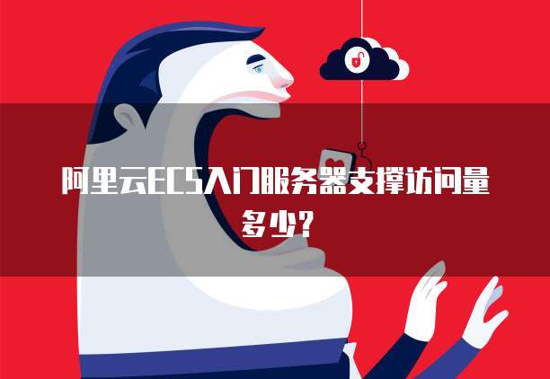 阿里云ECS入门服务器支撑访问量多少？