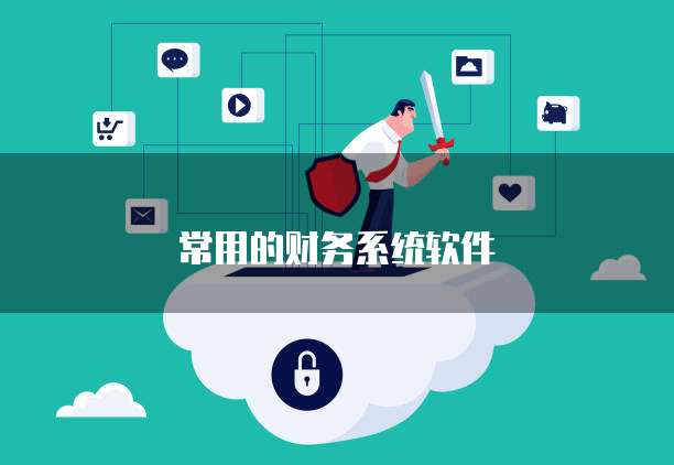 常用的财务系统软件