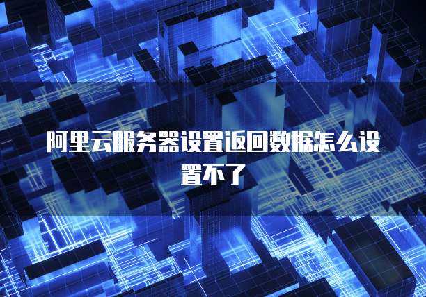 阿里云服务器设置返回数据怎么设置不了