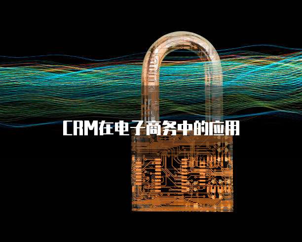 CRM在电子商务中的应用