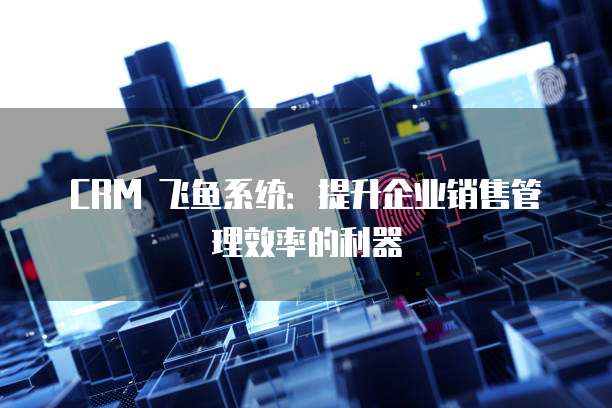 CRM 飞鱼系统：提升企业销售管理效率的利器