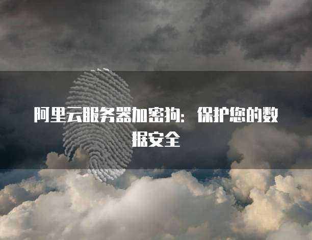 阿里云服务器加密狗：保护您的数据安全
