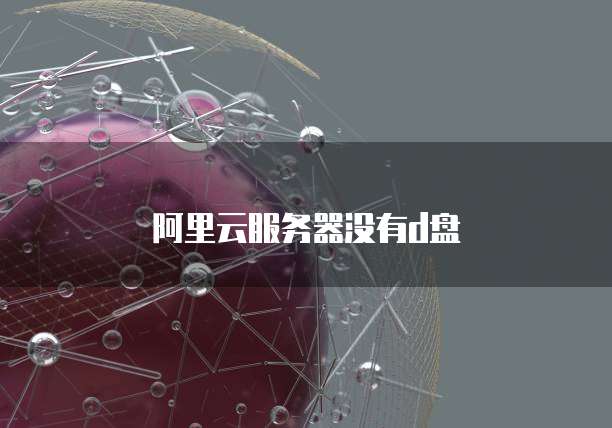 阿里云服务器没有d盘
