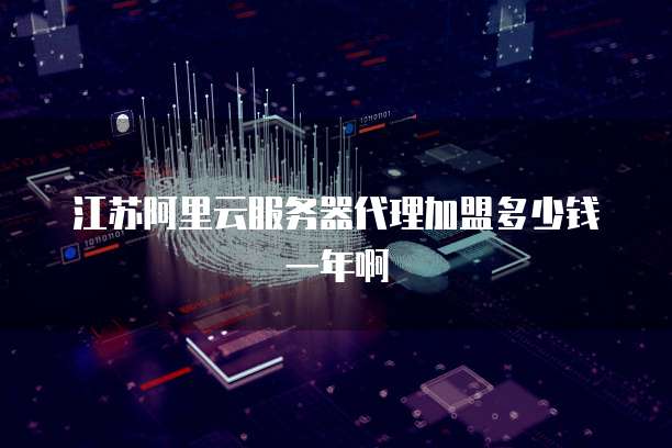 江苏阿里云服务器代理加盟多少钱一年啊