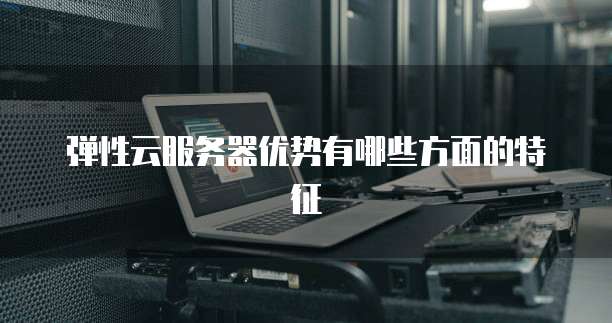 弹性云服务器优势有哪些方面的特征