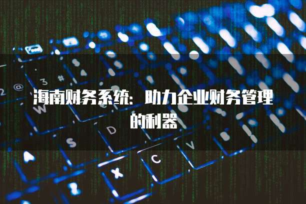 海南财务系统：助力企业财务管理的利器