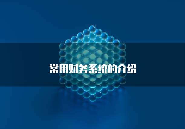 常用财务系统的介绍
