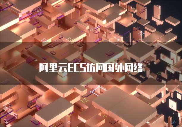 阿里云ECS访问国外网络